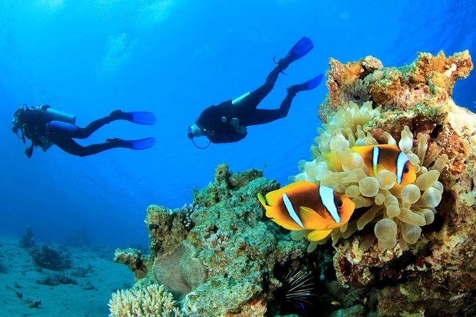 Diving in Hurghada Red Sea