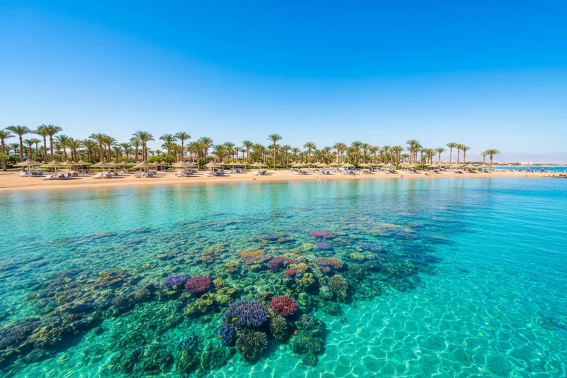 Red Sea coral reefs in Egypt