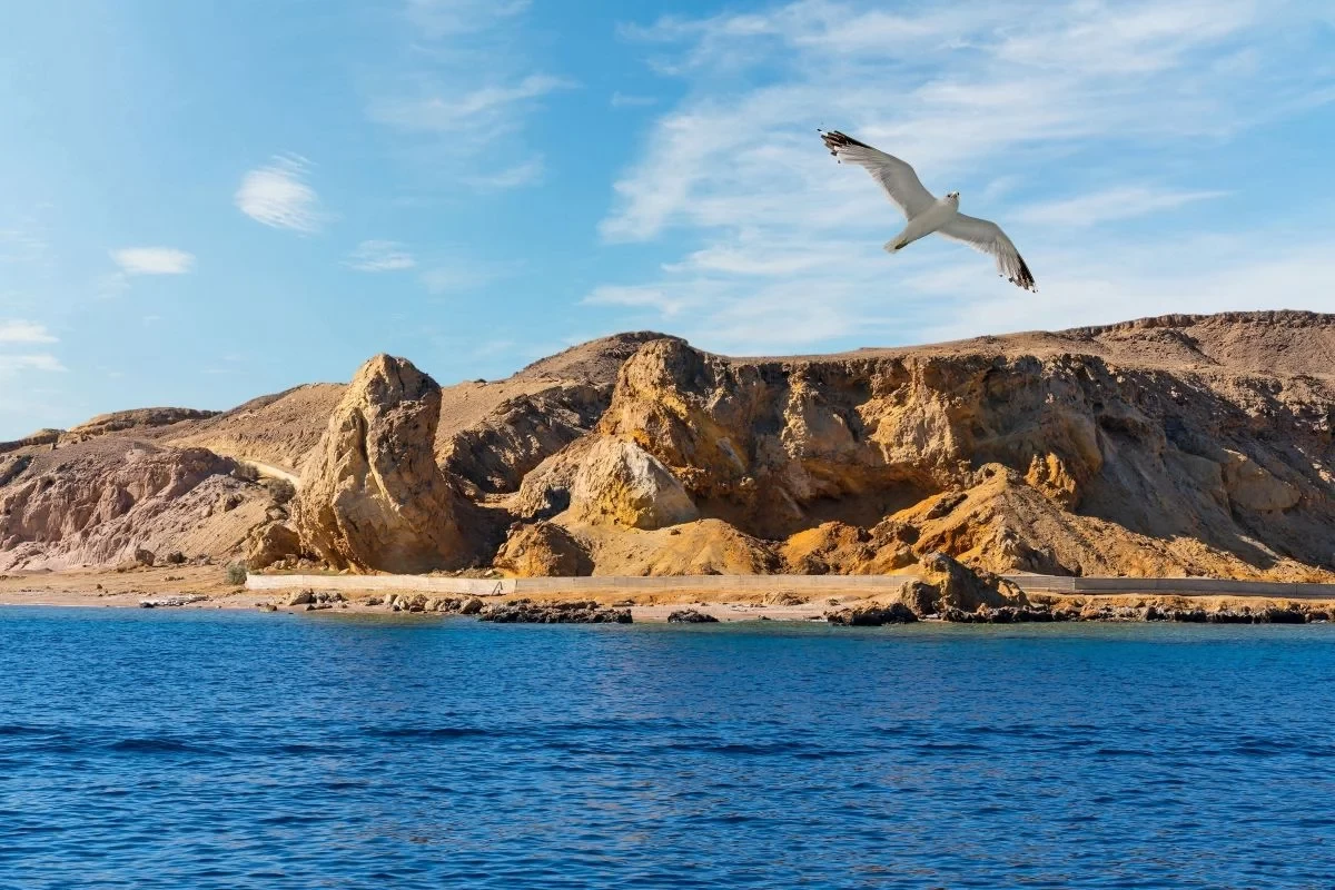 Ras Mohammed coastal scenery