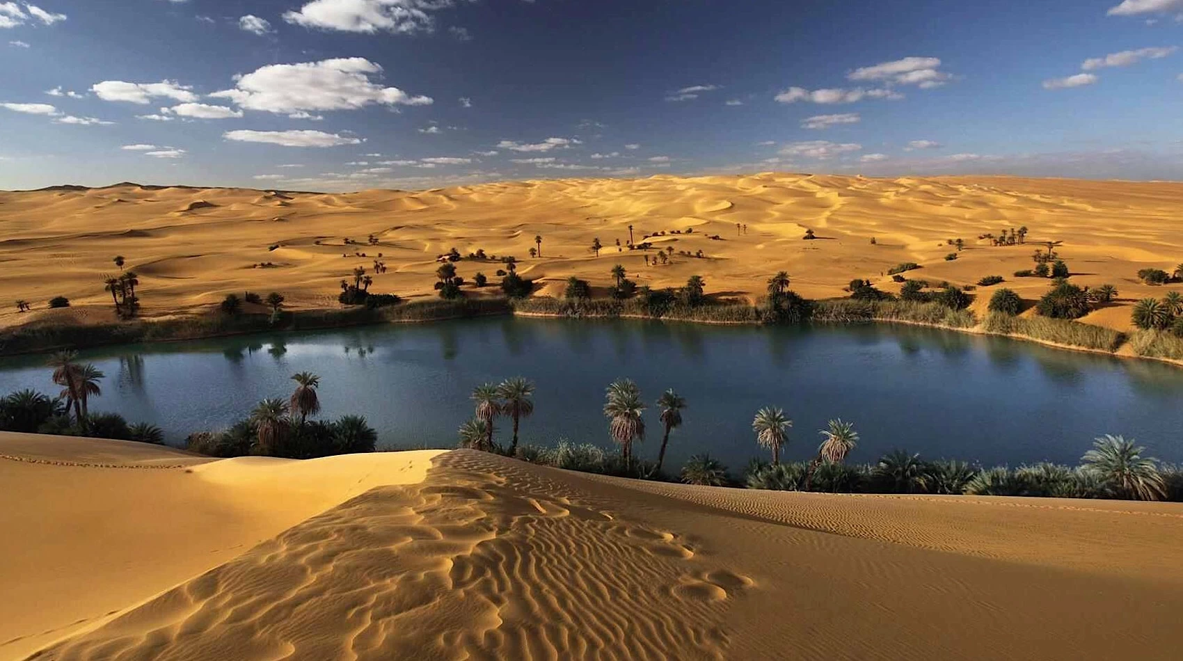 Bahariya Oasis trip from Cairo Egypt