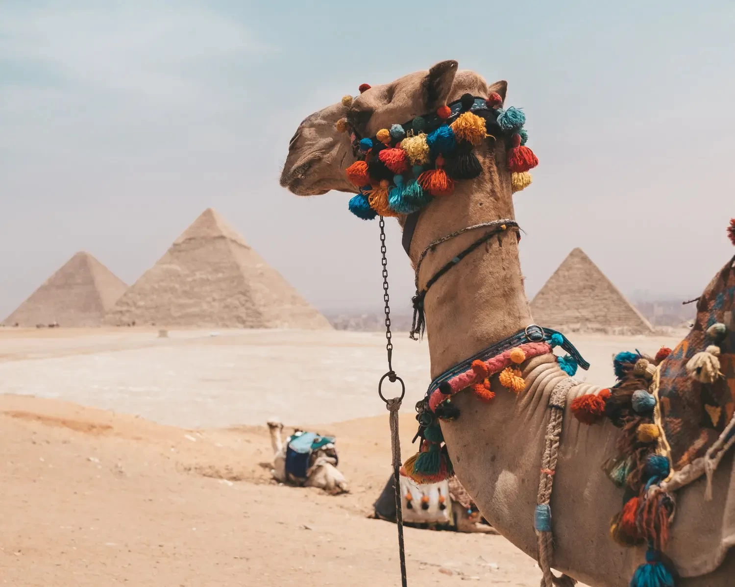 See Giza Pyramids by air
