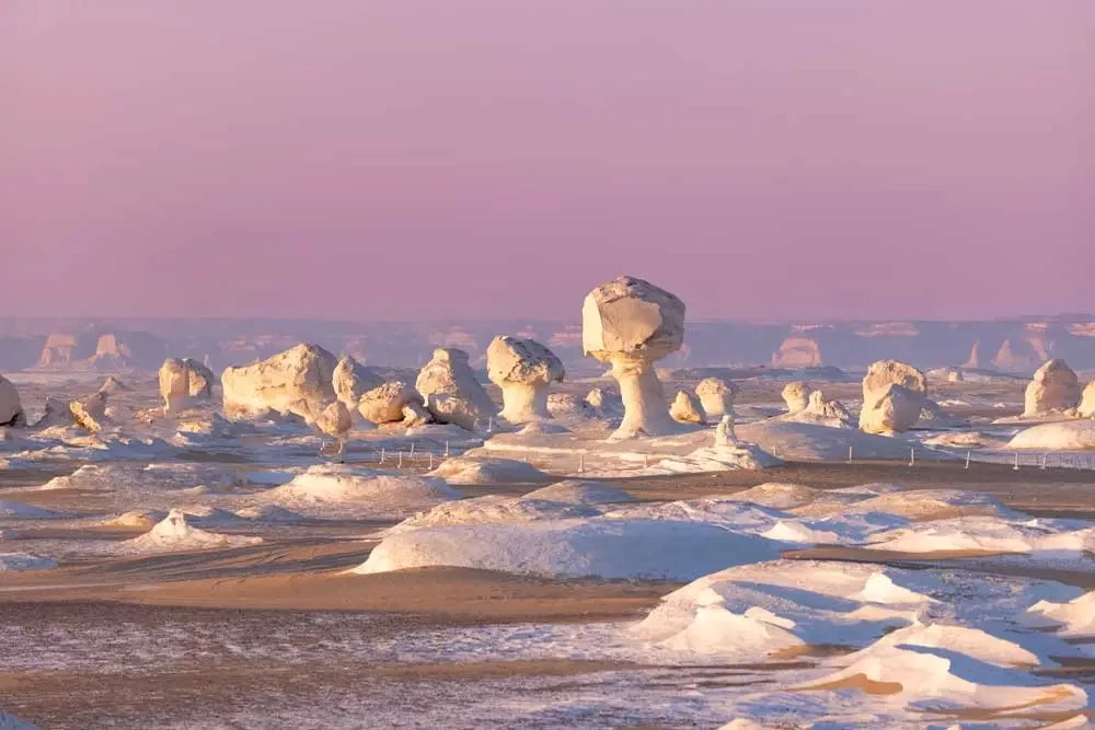 White Desert Egypt with unique white chalk rock formations