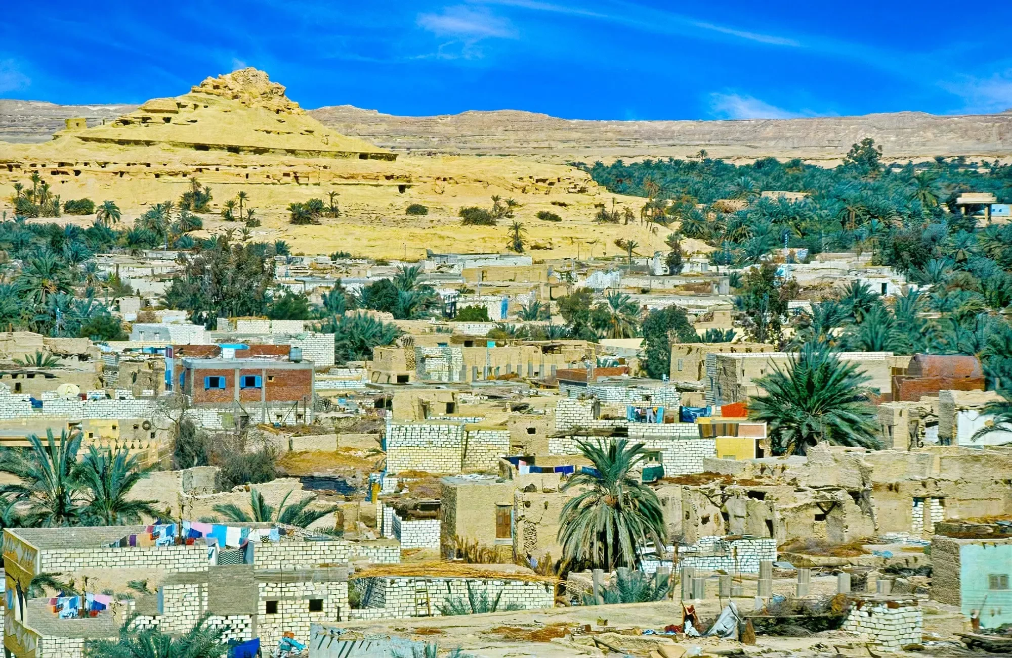 Farafra Oasis in Egypt