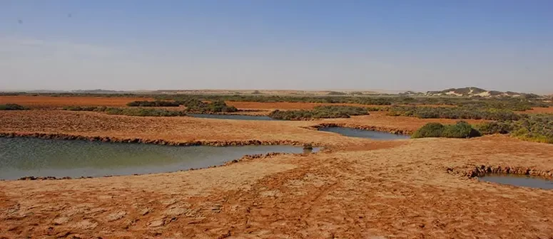 Beautiful Dakhla Oasis in Egypt
