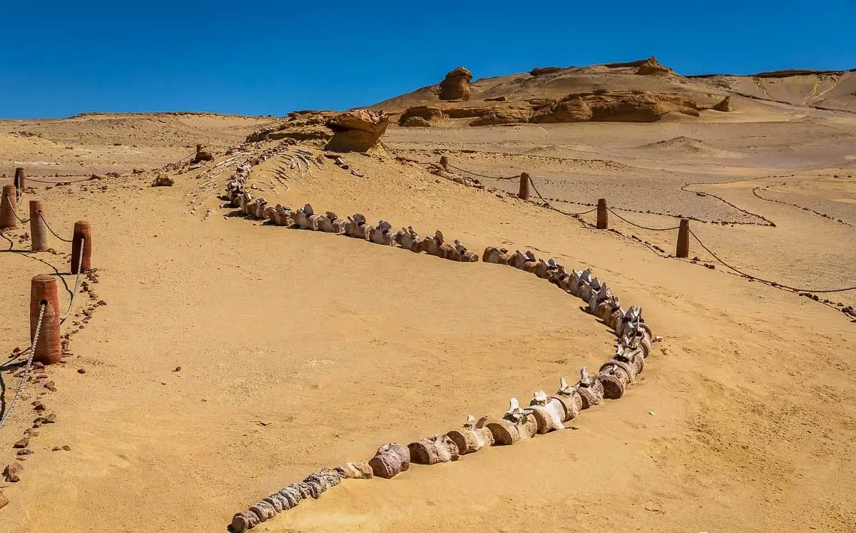 Wadi El Hitan