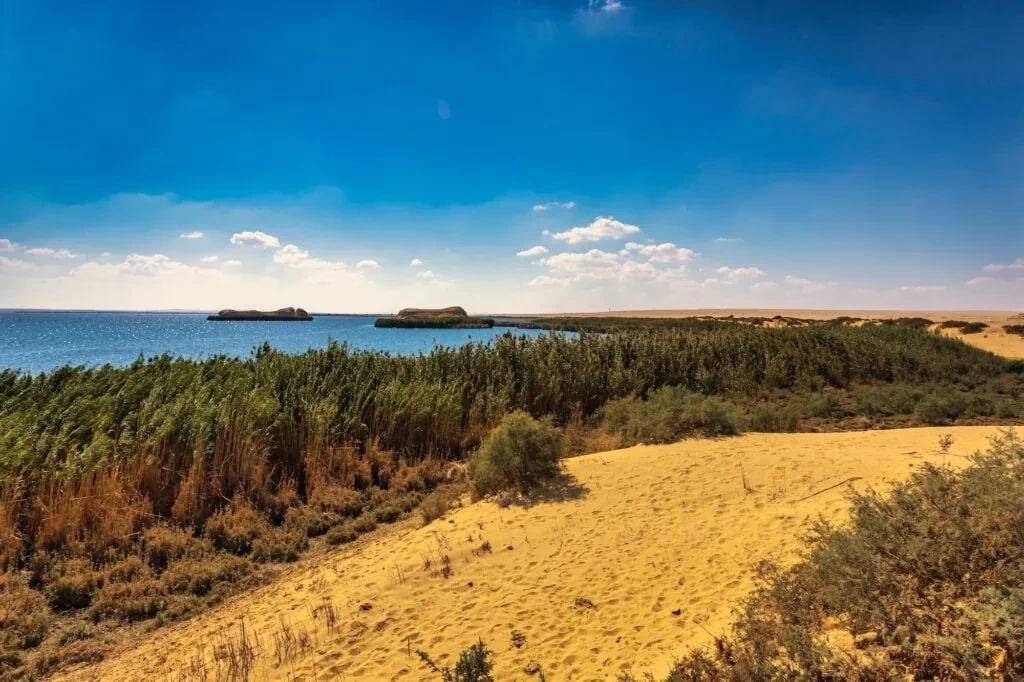 Wadi El Rayan lakes and waterfalls