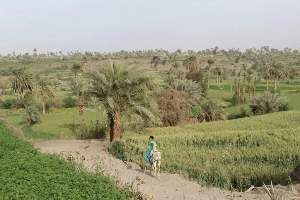 Egypt countryside tour from Cairo through peaceful rural landscapes