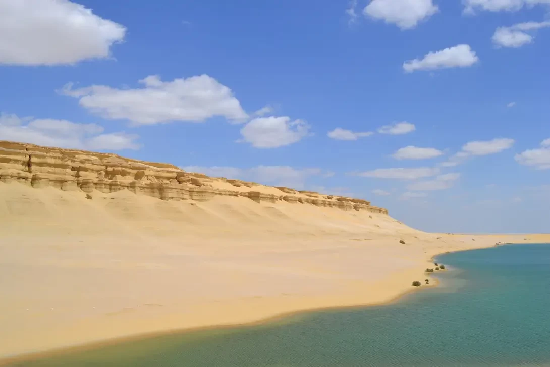 Fayoum Oasis full day tour from Cairo