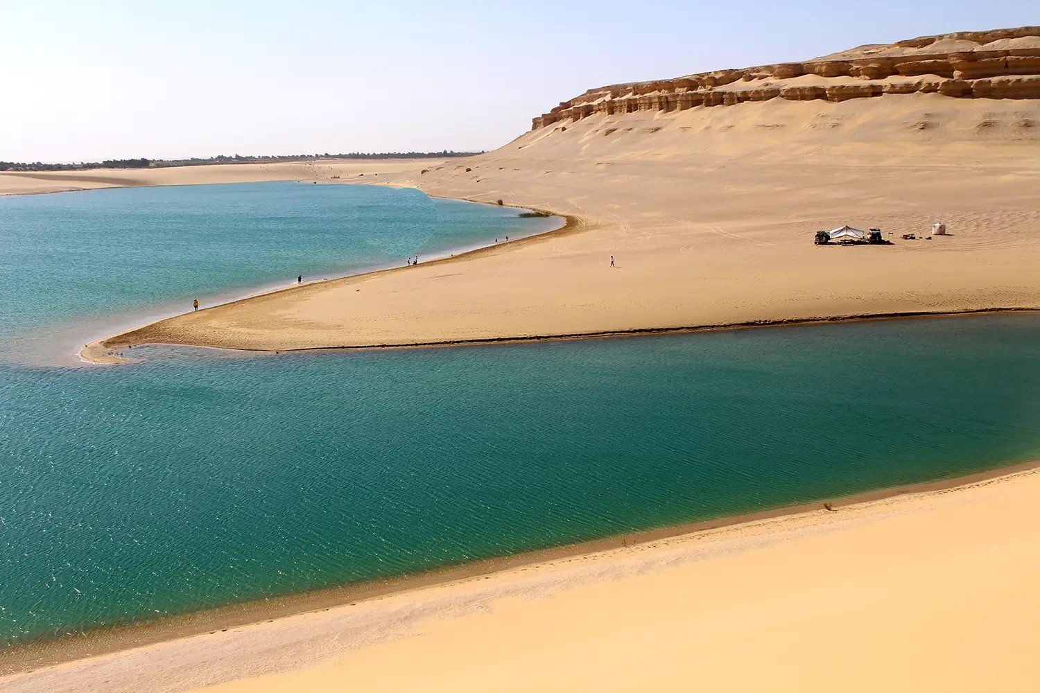 Fayoum Oasis sightseeing tour from Cairo