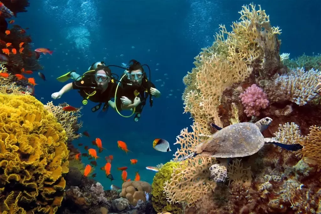 Sharm El Sheikh diving